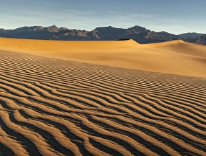 Stovepipe Wells Prints: USA, California, Death Valley National Park, Early morning sun hits Mesquite Flat Dunes