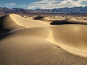 Stovepipe Wells Prints: USA, California, Death Valley National Park, Morning sun hits Mesquite Flat Dunes