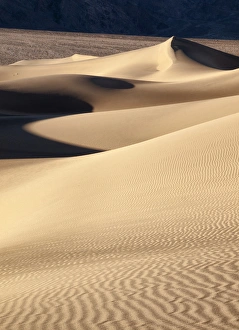 Stovepipe Wells Prints: USA, California, Death Valley National Park, Morning sun hits Mesquite Flat Dunes