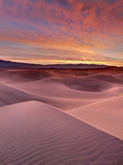Damp Prints: USA, California, Death Valley National Park, Sunrise over Mesquite Flat Dunes