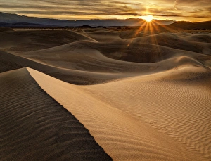 Damp Prints: USA, California, Death Valley National Park, Sunrise over Mesquite Flat Dunes