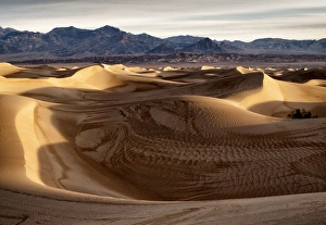 Damp Prints: USA, California, Death Valley National Park, Mesquite Flat Dunes after rain