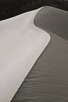 Images Dated 9th November 2007: USA, California, Death Valley National Park. S-shaped dune ridge lit by morning light