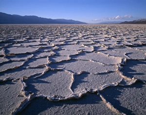 Vast Prints: USA, California, Death Valley National Park, Polygonal patterns in salt pan on floor