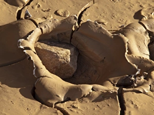 Death Valley Prints: USA, California, Death Valley National Park, Close-up image of dried mud