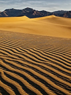 Stovepipe Wells Prints: USA, California, Death Valley National Park, Early morning sun hits Mesquite Flat Dunes