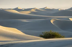 Death Valley Prints: USA, California. Death Valley National Park, Mesquite Flats Sand Dunes