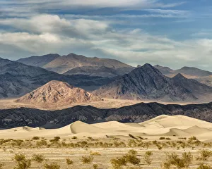 Images Dated 17th September 2019: USA, California, Death Valley National Park, Stovepipe Wells, Mesquite Flat Dunes