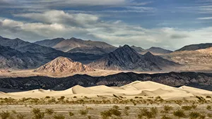 Death Valley Prints: USA, California, Death Valley National Park, Stovepipe Wells, Mesquite Flat Dunes