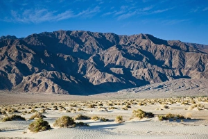 USA, California, Death Valley National Park, Mesquite Flat Sand Dunes, dawn