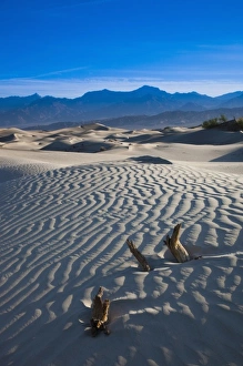 World Location Prints: USA, California, Death Valley National Park, Mesquite Flat Sand Dunes, dawn