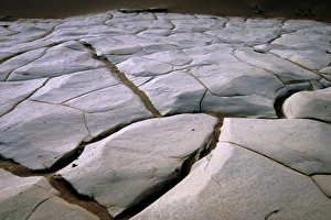 Frank Zurey Prints: USA, California, Death Valley National Park. Dried clay mosaic in Tawny Dunes
