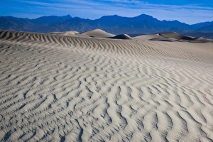 USA, California, Death Valley National Park, Mesquite Flat Sand Dunes, dawn