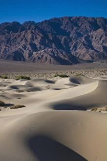 World Location Prints: USA, California, Death Valley National Park, Mesquite Flat Sand Dunes, dawn