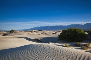 World Location Prints: USA, California, Death Valley National Park, Mesquite Flat Sand Dunes, dawn