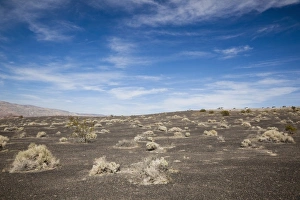 Crater Prints: USA, California, Death Valley National Park, Ubehebe Meteor Crater, landscape around