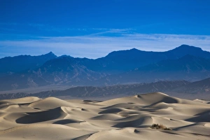 World Location Prints: USA, California, Death Valley National Park, Mesquite Flat Sand Dunes, dawn