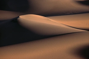 Frank Zurey Prints: USA, California, Death Valley National Park. Sunrise light on Tawny Dunes