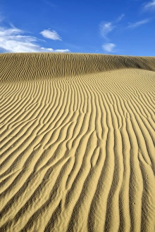 California Prints: USA, California, Death Valley, Ripples in the sand, Mesquite Flat Sand Dunes