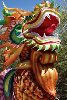 Dragon Prints: USA, California. Decorations at the Living Desert Zoo and Gardens, Palm Desert