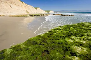 Marin County Prints: USA, California, Drakes beach at Point Reyes National Seashore