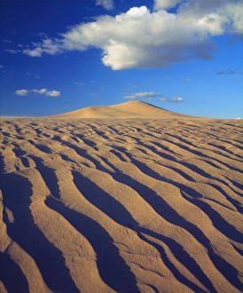 Barren Prints: USA, California, Dumont Dunes. ASand Dunes and Clouds
