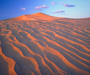 Barren Prints: USA; California; Dumont Dunes. ; Sand Dunes and Clouds