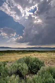Sun Ray Prints: USA, California, Eagle Lake. Rays of sunlight filter down to sagebrush at Eagle Lake