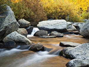Images Dated 26th September 2009: USA, California, Eastern Sierra, North Fork of Bishop Creek