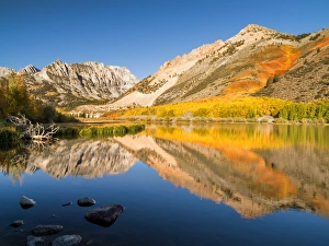 Images Dated 27th September 2009: USA, California, Eastern Sierra, Fall color reflected in North Lake