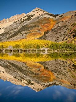 Images Dated 27th September 2009: USA, California, Eastern Sierra, Fall color reflected in North Lake