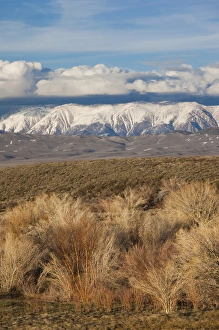 Images Dated 16th April 2011: USA, California, Eastern Sierra Nevada Area, Whitmore Hot Springs, landscape by Lake