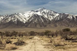 Images Dated 16th April 2011: USA, California, Eastern Sierra Nevada Area, Independence, Manzanar National Historic Site