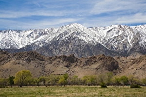 Images Dated 16th April 2011: USA, California, Eastern Sierra Nevada Area, Lone Pine, mountain landscape