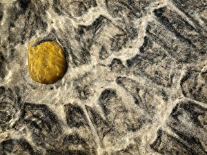 USA, California, Encinitas, Rock in sand and water at beach