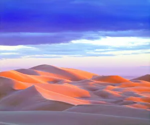 Sierra Prints: USA, California, Glamis Sand Dunes at Sunset, CA