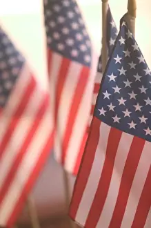 USA, California, Gold Country, Amador City: USA Flags