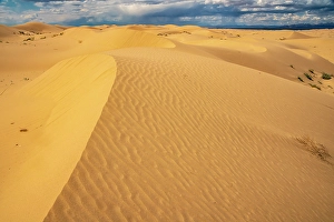 New Images March 2025 Part 2 Prints: USA, California, Imperial Sand Dunes Recreation Area