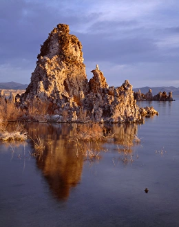 USA, California, Inyo National Forest, Mono Basin National Forest Scenic Area, Sunrise