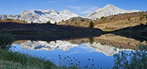 Images Dated 14th August 2012: USA, California, Inyo National Forest