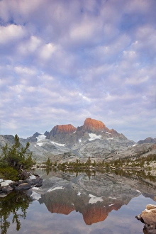 Images Dated 18th August 2012: USA, California, Inyo National Forest