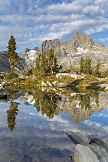 Images Dated 17th August 2012: USA, California, Inyo National Forest