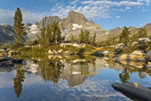 Images Dated 17th August 2012: USA, California, Inyo National Forest
