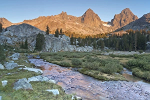 USA, California, Inyo National Forest. Feeder stream entering Ediza Lake at sunrise