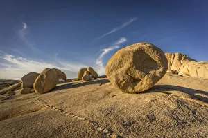 Joshua Tree Prints: USA, California, Joshua Tree National Park