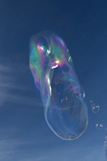 Bubble Prints: USA, California, La Jolla. Floating bubble