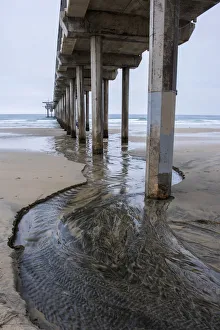Surfing Prints: USA, California, La Jolla, Scripps Pier