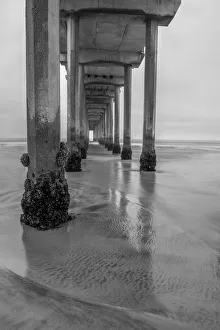USA, California, La Jolla, Scripps Pier