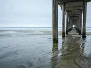 San Diego Prints: USA, California, La Jolla, Scripps Pier, Dawn