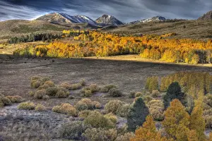 USA, California. Landscape of Eastern Sierra Nevada Mountains from Conway Summit